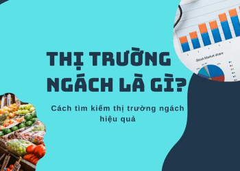 thị trường ngách tiềm năng